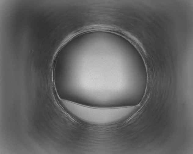 X0000083611365200702120713