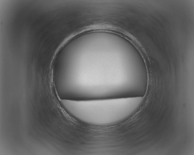 X0000083611366200702120713