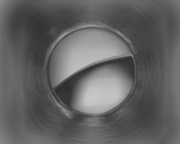 X0000083611367200702120713