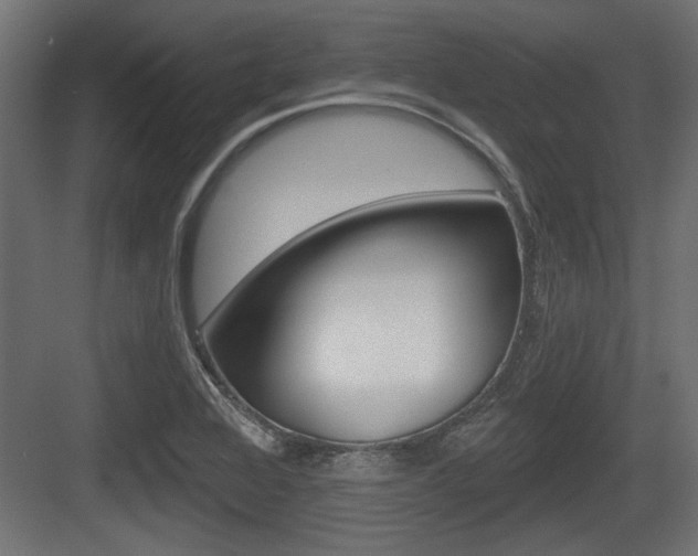X0000083611368200702120713
