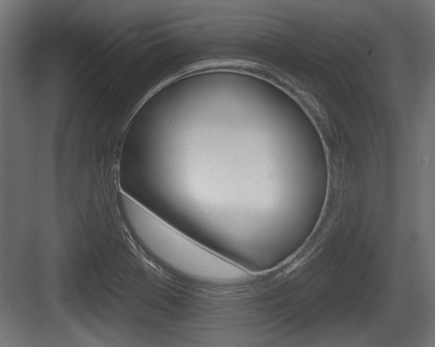 X0000083611369200702120713