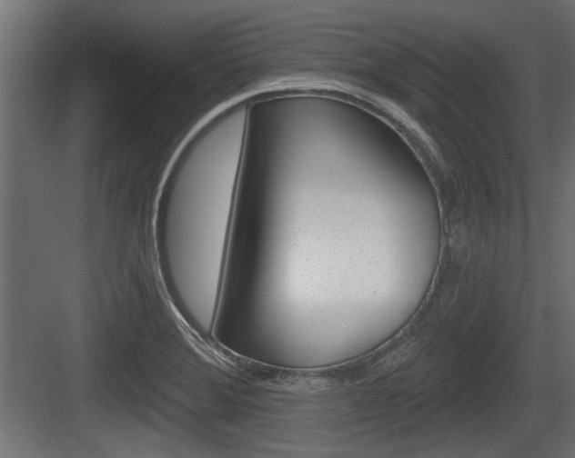 X0000083611372200702120712