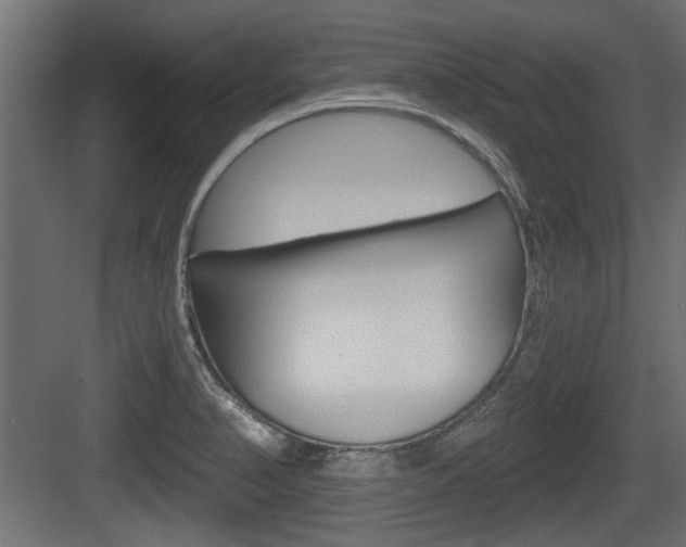 X0000083611374200702120712