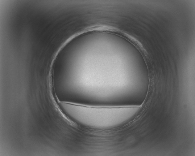 X0000083611375200702120712