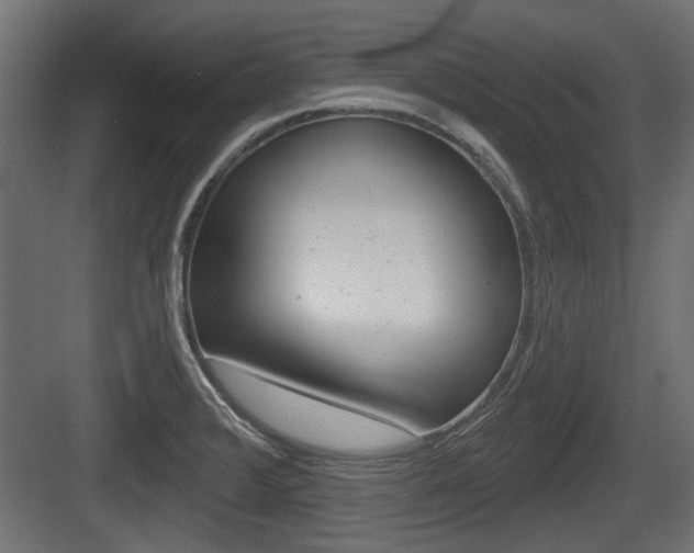 X0000083611376200702120712