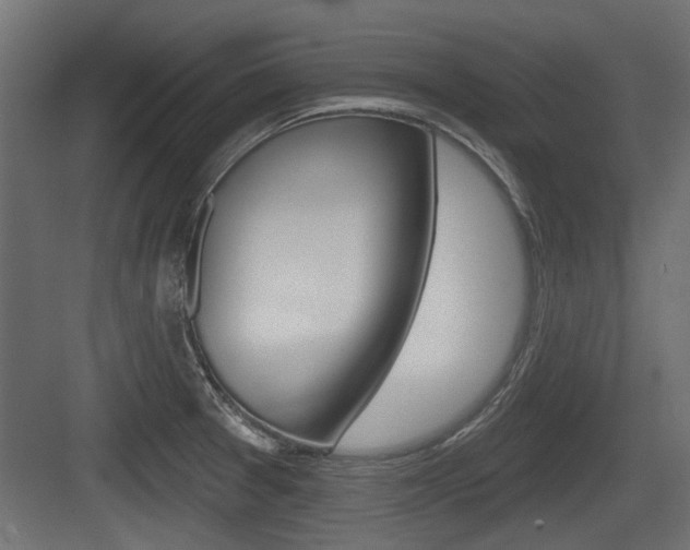 X0000083611377200702120712
