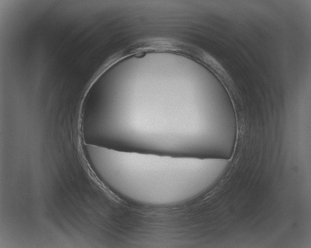 X0000083611378200702120712