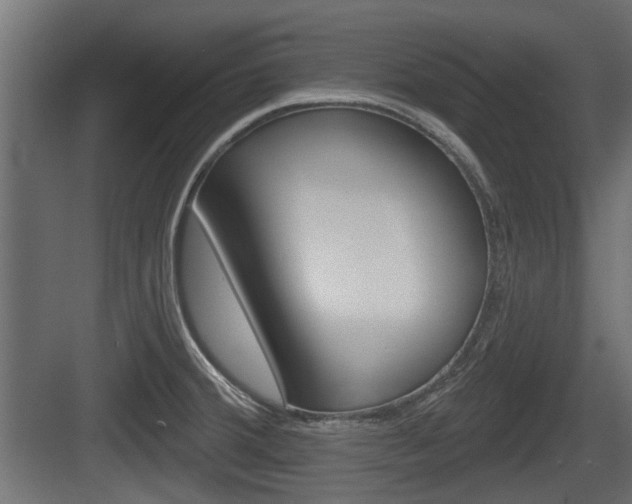 X0000083611380200702120712