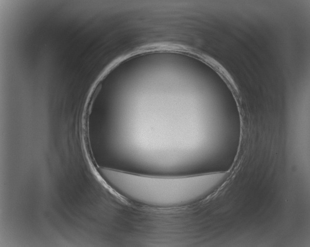 X0000083611381200702120712