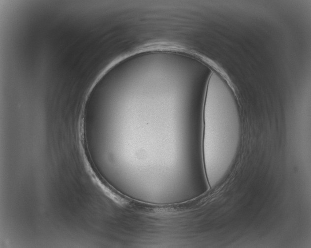 X0000083611383200702120712