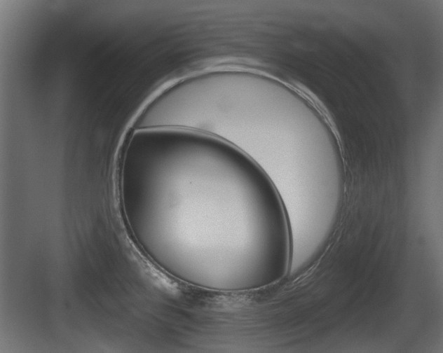 X0000083611384200702120712