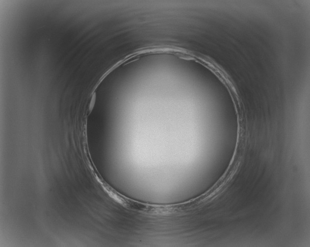 X0000083611385200702120712