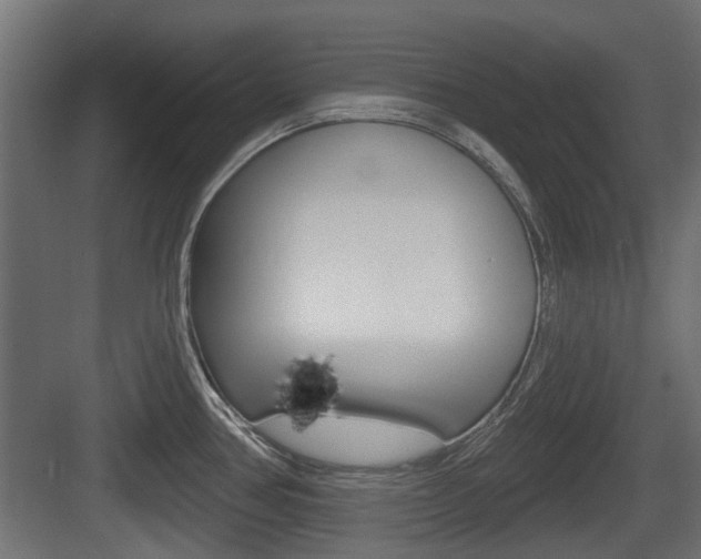 X0000083611386200702120712