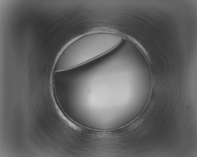 X0000083611387200702120712