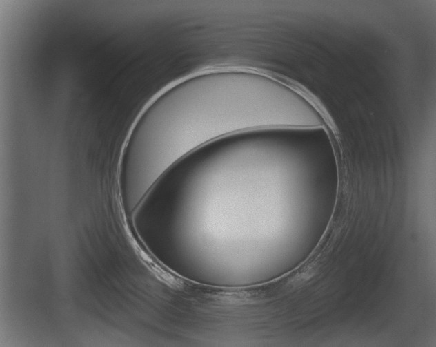 X0000083611388200702120712