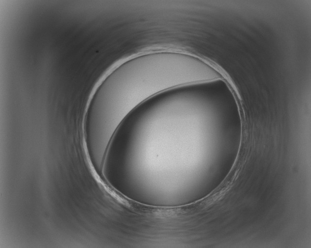 X0000083611389200702120712
