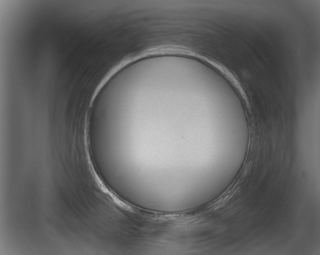 X0000083611390200702120712