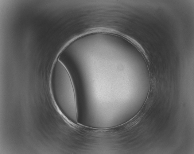 X0000083611391200702120712