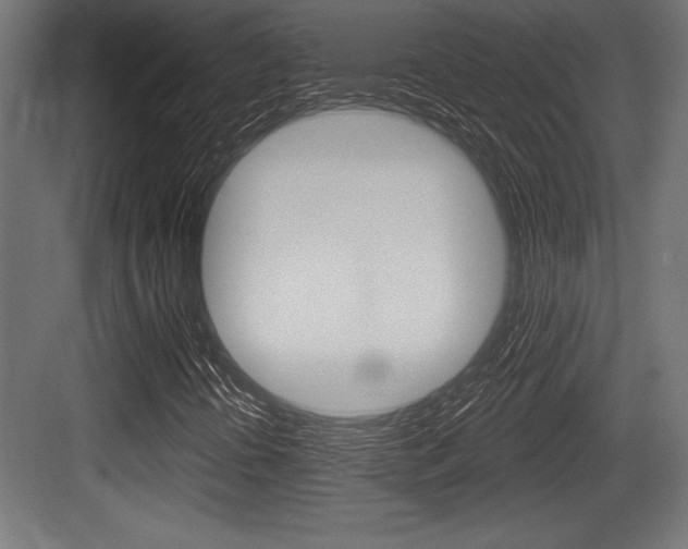 X0000083611394200702120711