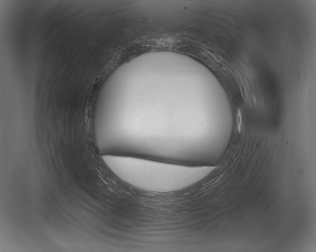 X0000083611395200702120711