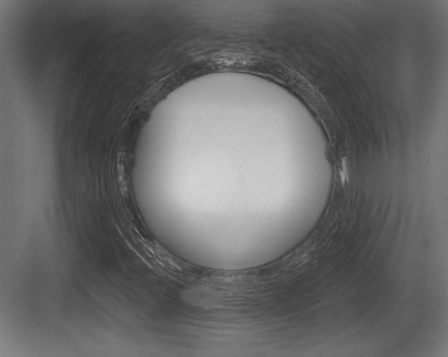 X0000083611396200702120711