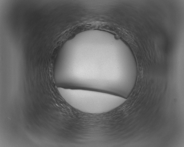 X0000083611397200702120711