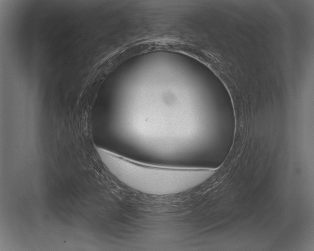 X0000083611398200702120711