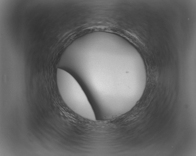 X0000083611399200702120711