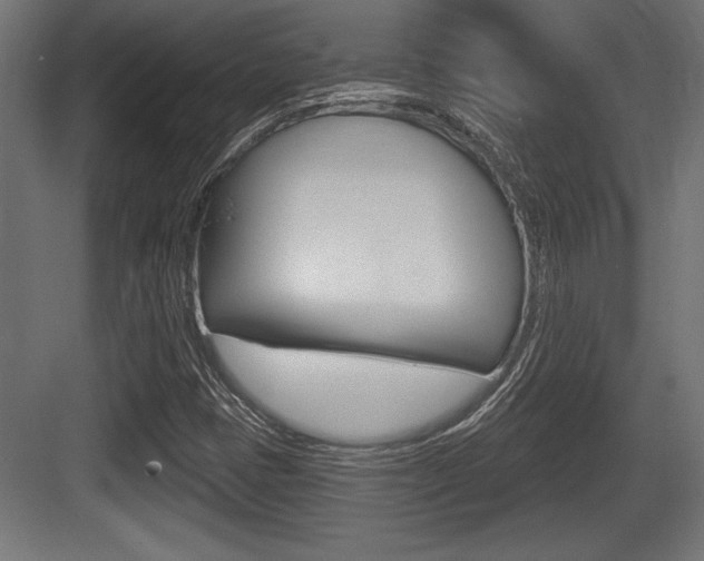 X0000083611401200702120711