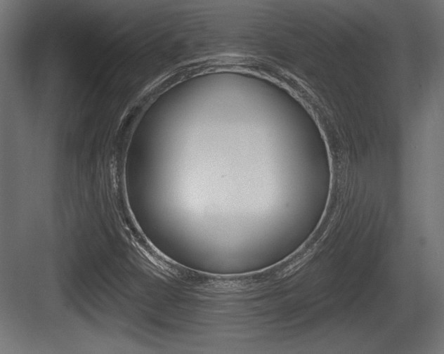 X0000083611402200702120711