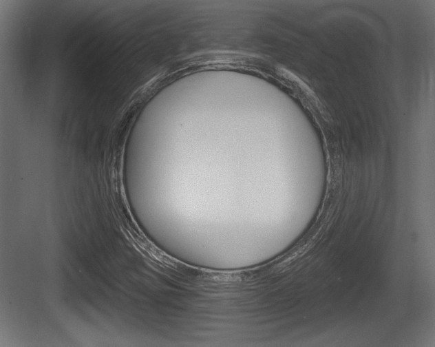 X0000083611403200702120712
