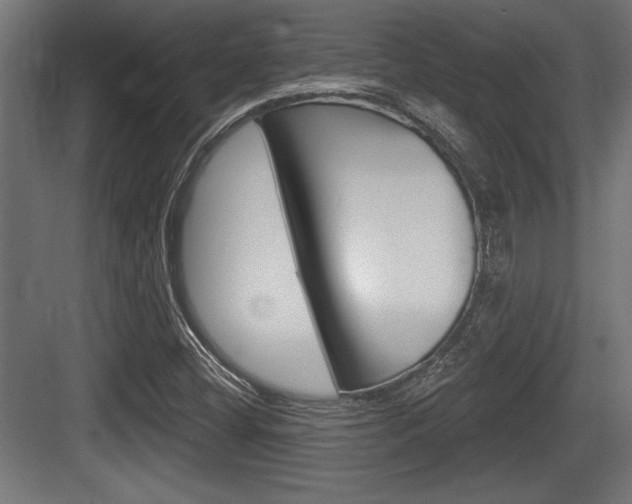 X0000083611404200702120712
