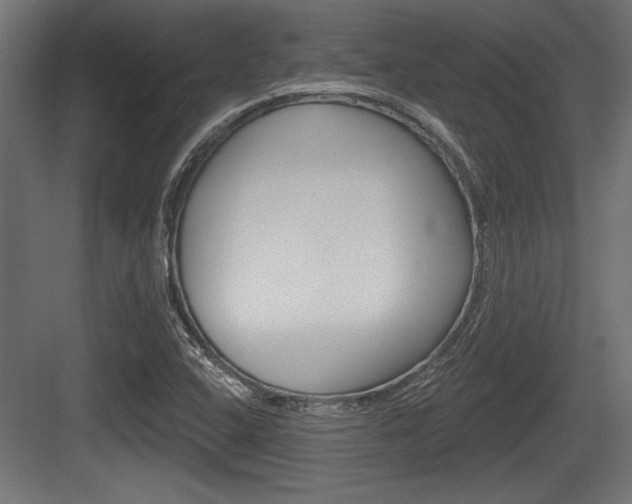 X0000083611408200702120712