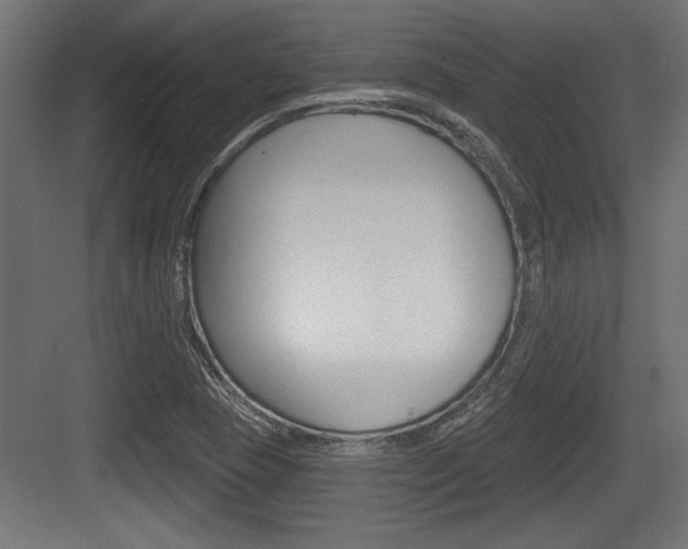 X0000083611409200702120712