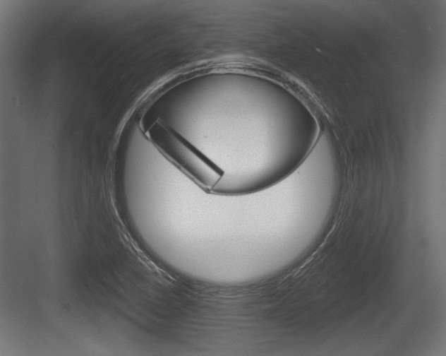 X0000083611410200702120712