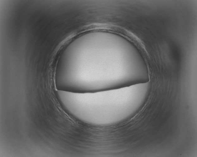 X0000083611411200702120712