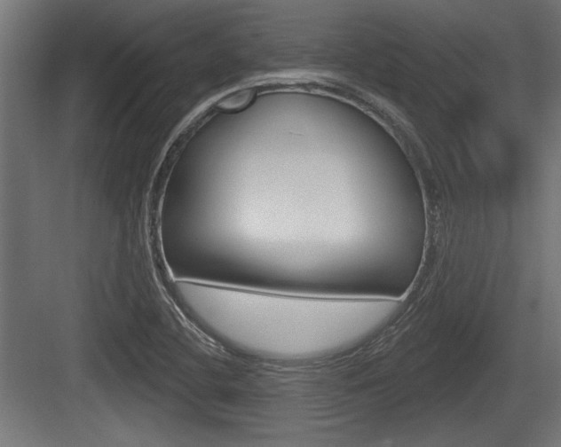X0000083611412200702120712