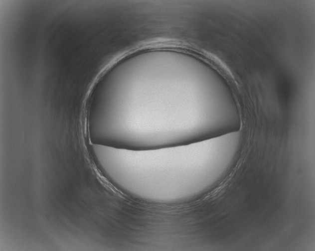 X0000083611413200702120712