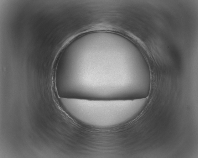 X0000083611415200702120712