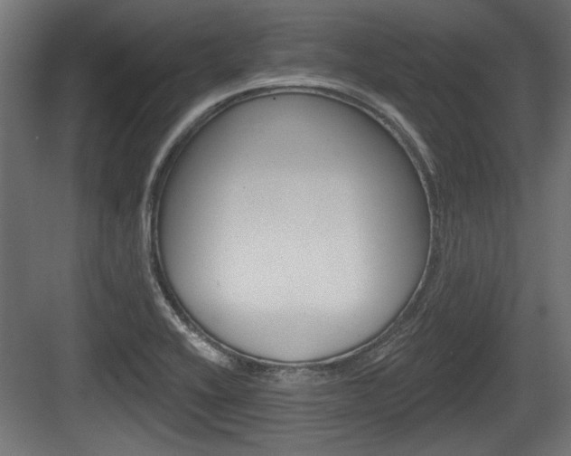 X0000083611416200702120712