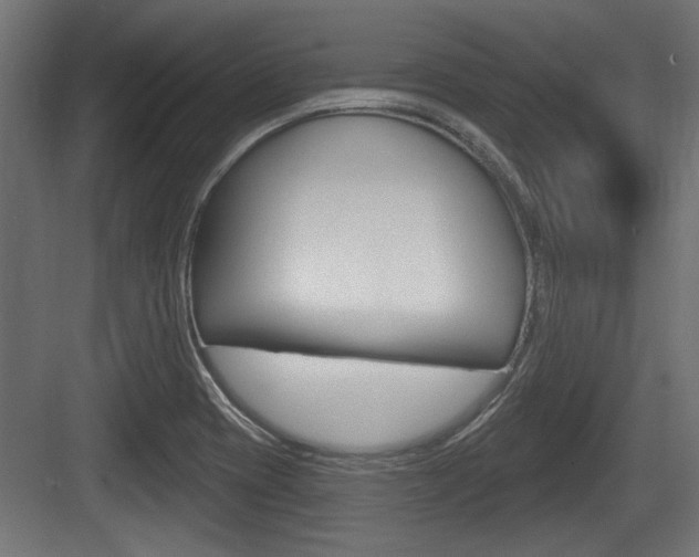 X0000083611417200702120712