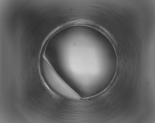 X0000083611418200702120712