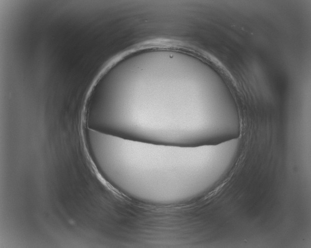 X0000083611421200702120712