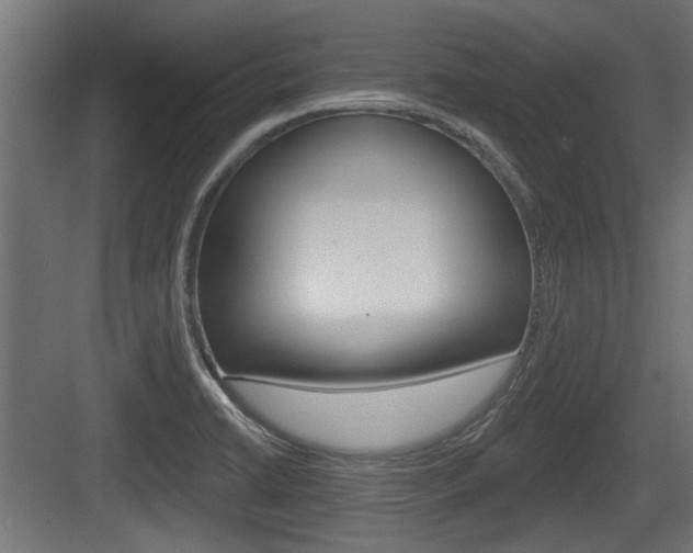X0000083611422200702120712