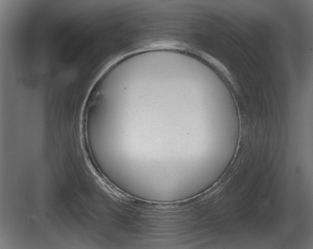 X0000083611423200702120712