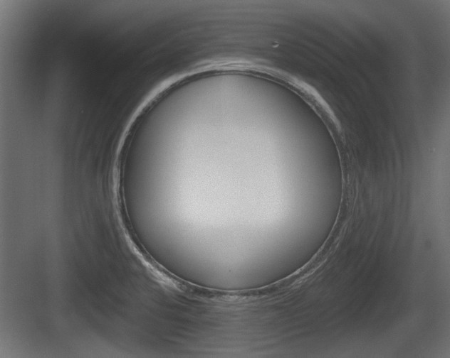 X0000083611424200702120712