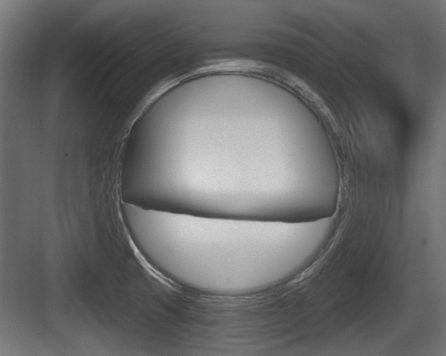 X0000083611425200702120712