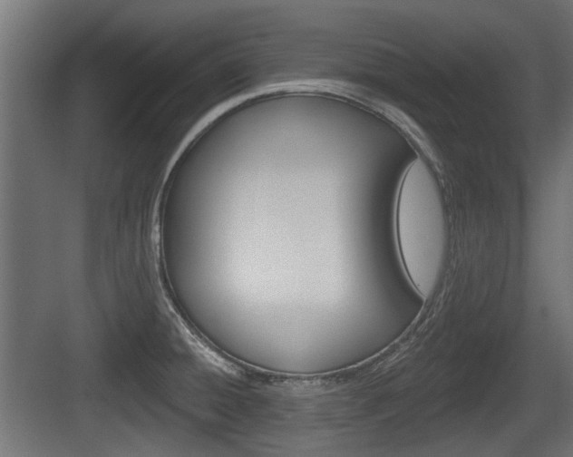 X0000083611428200702120712