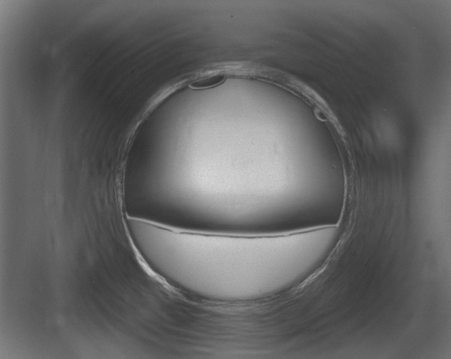 X0000083611433200702120712