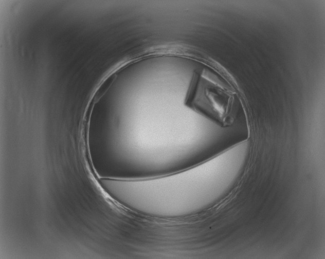 X0000083611434200702120712